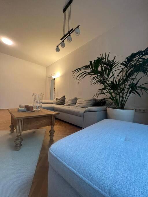 Ganzes Haus In Der Altstadt, Ideal Fuer 2 Personen, 4 Gaeste Moeglich Quakenbrück Exterior foto